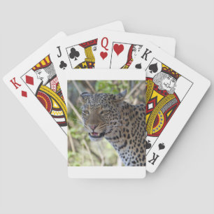 Luipaard Kat Dier Afrika Jungle Land Bestemming Pokerkaarten