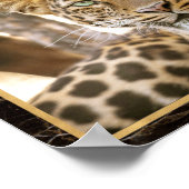 Luipaard Kat Foto Afbeelding Print Poster (Hoek)