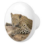 Luipaard keramische knop, rechts keramische knop (Rechts)