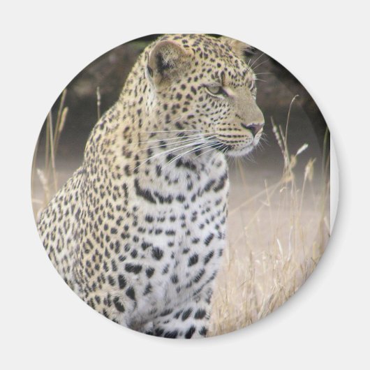 luipaard magneet (Voorkant)