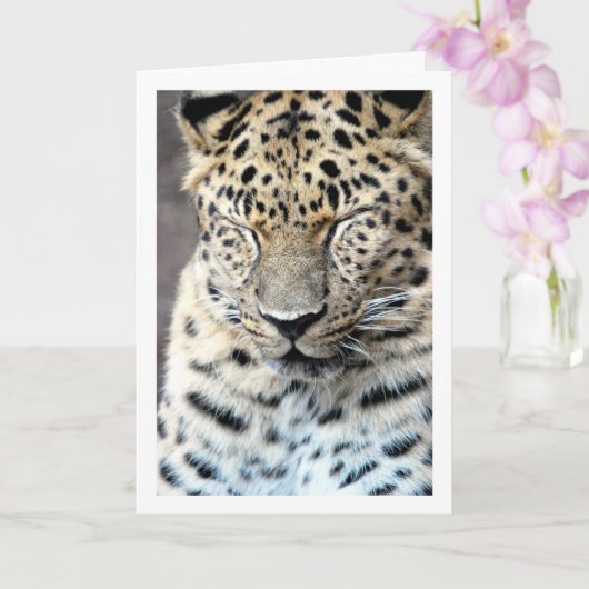 Luipaard met gesloten ogen kaart (Orchidee)