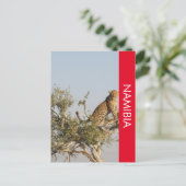Luipaard, Namibië Briefkaart (Staand voorkant)