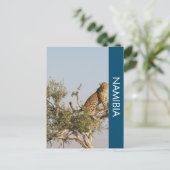 Luipaard, Namibië Briefkaart (Staand voorkant)