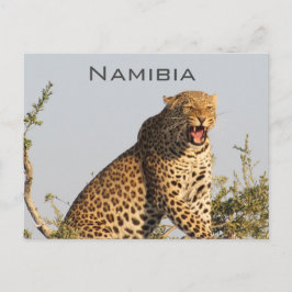 Luipaard, Namibië Briefkaart