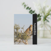Luipaard, Namibië Briefkaart (Staand voorkant)