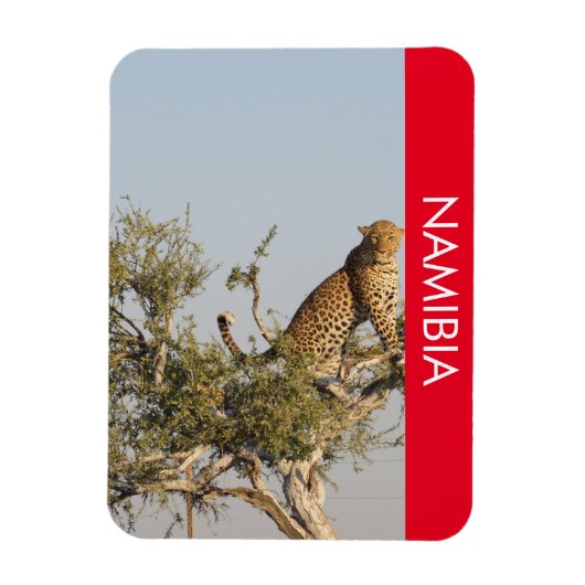 Luipaard, Namibië magneet (Verticaal)