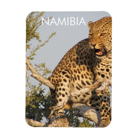 Luipaard, Namibië magneet (Verticaal)