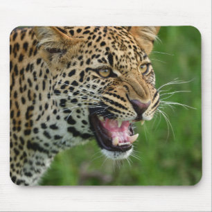 Luipaard, natuur, wilde dieren muismat