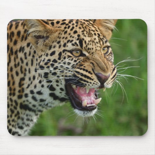 Luipaard, natuur, wilde dieren muismat (Voorkant)