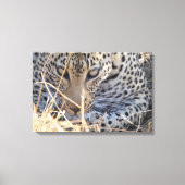 LUIPAARD OGEN CLOSE-UP CANVAS AFDRUK (Voorkant)