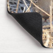 LUIPAARD OGEN CLOSE-UP MUISMAT (Hoek)