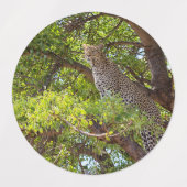 Luipaard op een boom labels (Design 2)