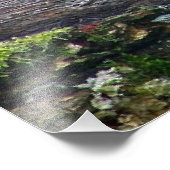 Luipaard op een logboek foto afdruk (Hoek)