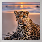 Luipaard op het strand poster (Voorkant)