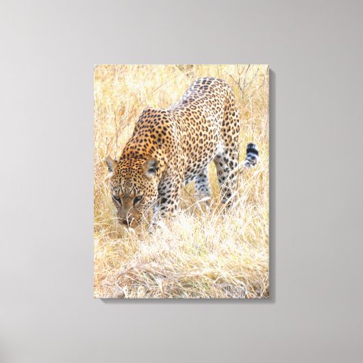 LUIPAARD OP PATROUILLE CANVAS AFDRUK (Voorkant)
