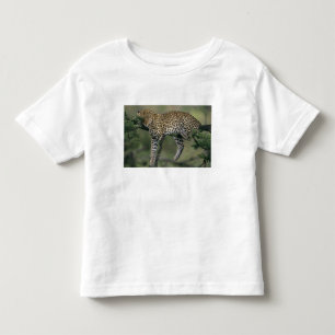 Luipaard, (Panthera pardus), Kenia, Masai Mara Kinder Shirts