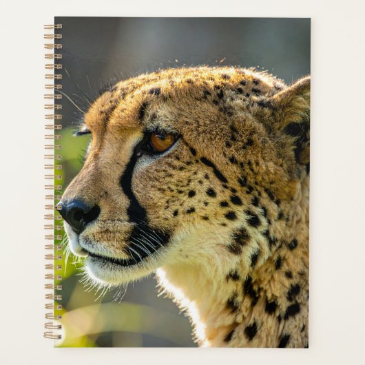 luipaard planner (Voorkant)