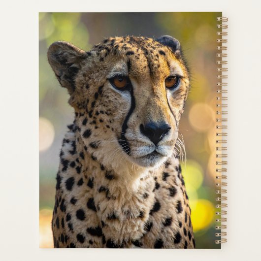 luipaard planner (Achterkant)