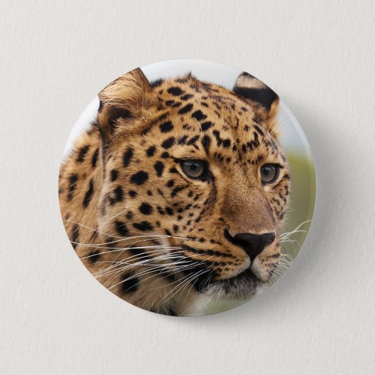 Luipaard Portret Ronde Button 5,7 Cm (Voorkant)