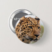 Luipaard Portret Ronde Button 5,7 Cm (Voorkant /achterkant)