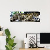 Luipaard Poster 36x12 of Kleiner formaat Only (Thuiskantoor)