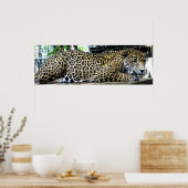Luipaard Poster 36x12 of Kleiner formaat Only (Keuken)