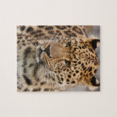 Luipaard Puzzel (Horizontaal)