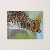 Luipaard Puzzel (Horizontaal)