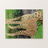 Luipaard Puzzel (Horizontaal)