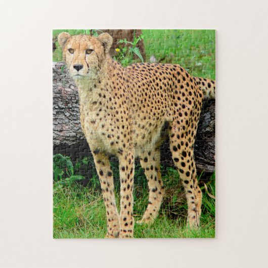 Luipaard Puzzel (Verticaal)