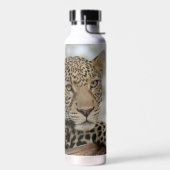 Luipaard roestvrijstalen waterfles van 22 oz. (Links)