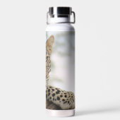 Luipaard roestvrijstalen waterfles van 22 oz. (Achterkant)