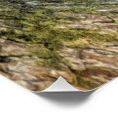 Luipaard rust in een boom perfect poster (Hoek)