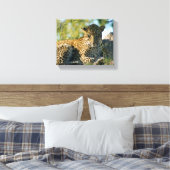 Luipaard rustende panthera pardus Kruger Canvas Afdruk (Insitu (Slaapkamer))