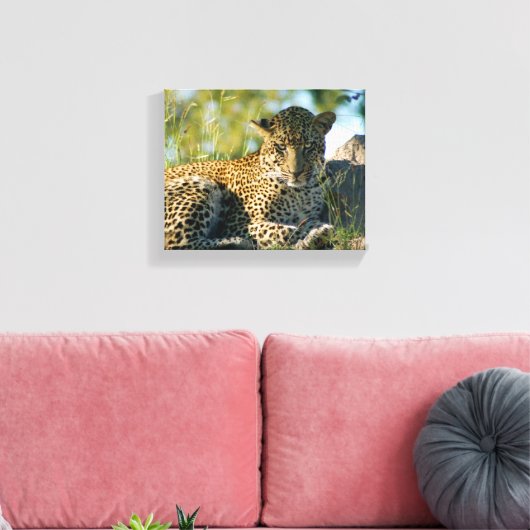 Luipaard rustende panthera pardus Kruger Canvas Afdruk (Insitu (Woonkamer))