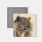 Luipaard safari magneten (Voorkant / Achterkant)