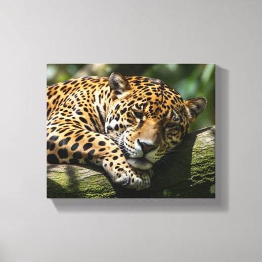 luipaard slapend canvas wandkunst afdruk (Voorkant)