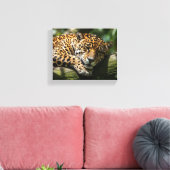 luipaard slapend canvas wandkunst afdruk (Insitu (Woonkamer))
