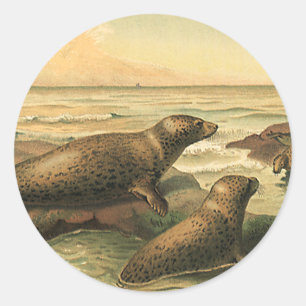  luipaarden in de oceaan, wilde dieren ronde sticker