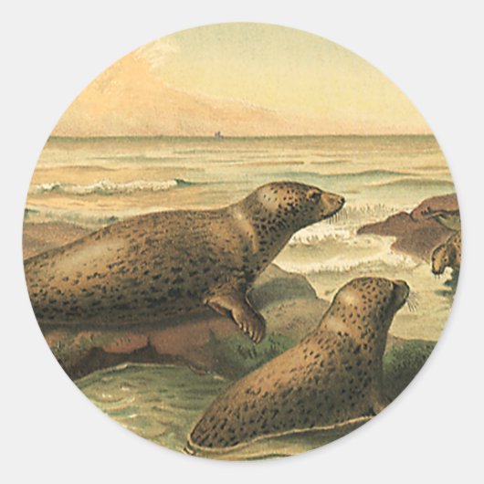 luipaarden in de oceaan, wilde dieren ronde sticker (Voorkant)