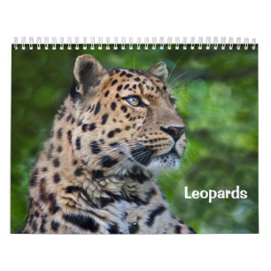 Luipaarden Kalender