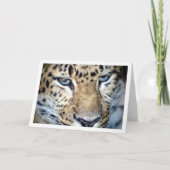 Luipaardengezicht Kaart (Voorkant)