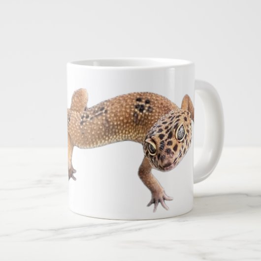 Luipaardgekko Grote Koffiekop (Voorkant rechts)
