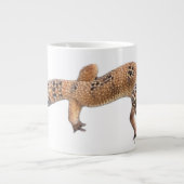 Luipaardgekko Grote Koffiekop (Voorkant)