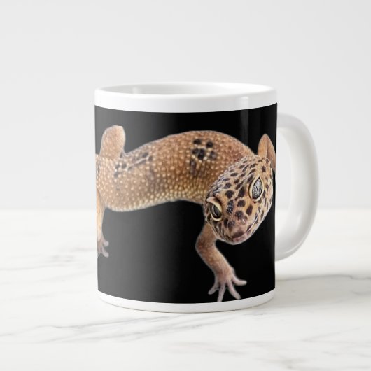 Luipaardgekko Grote Koffiekop (Voorkant rechts)