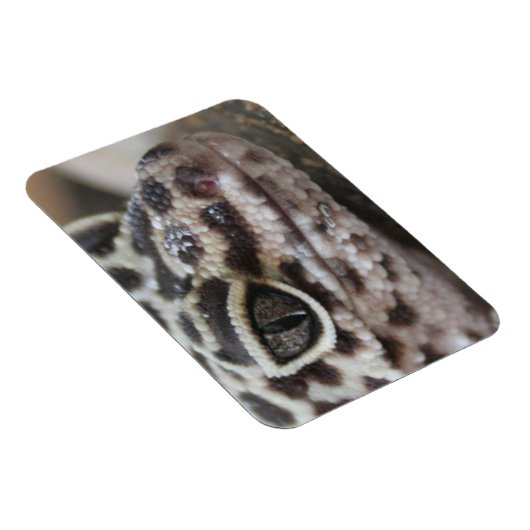 Luipaardgekko Ogen Mond  Gezicht Close-up Magneet (Rechterzijde)