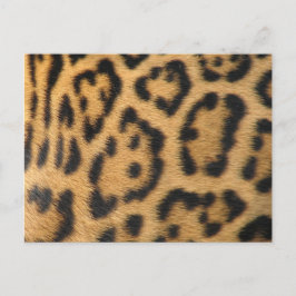 Luipaardprint Briefkaart