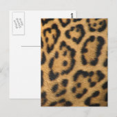 Luipaardprint Briefkaart (Voorkant / Achterkant)