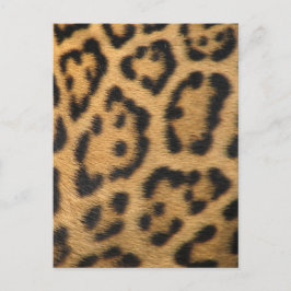Luipaardprint Briefkaart