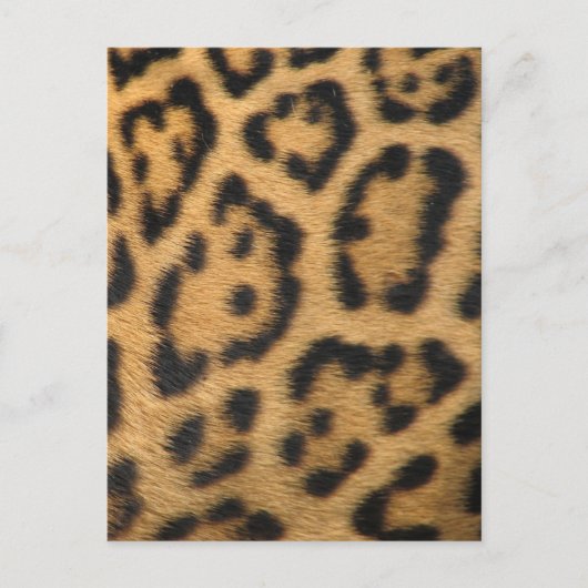 Luipaardprint Briefkaart (Voorkant)